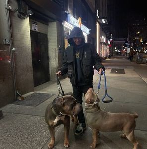 Meet your Posher, Johnny